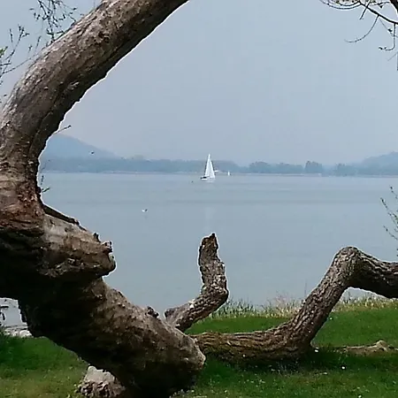 M. Koenig